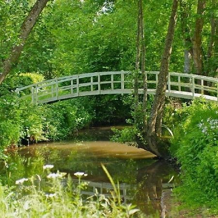 Le Charme Villa Mézilles Eksteriør bilde